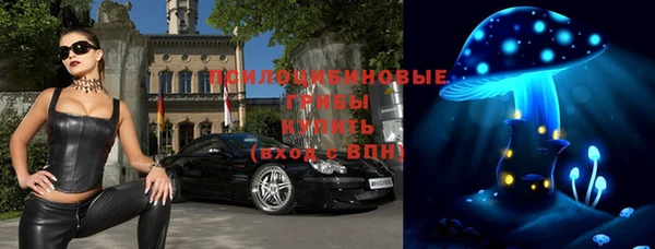 таблы Лиски