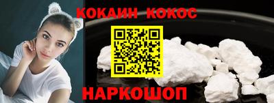 гашик Кингисепп