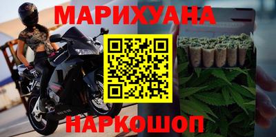 гашик Кингисепп