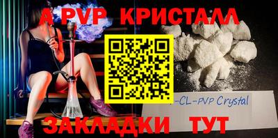 гашик Кингисепп