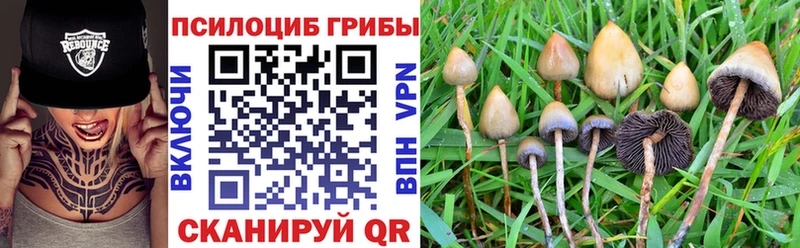 Галлюциногенные грибы мухоморы Лосино-Петровский