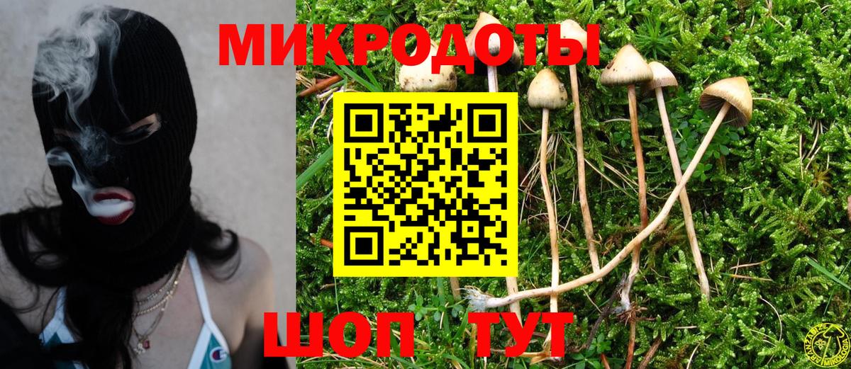 Галлюциногенные грибы Psilocybine cubensis Лосино-Петровский