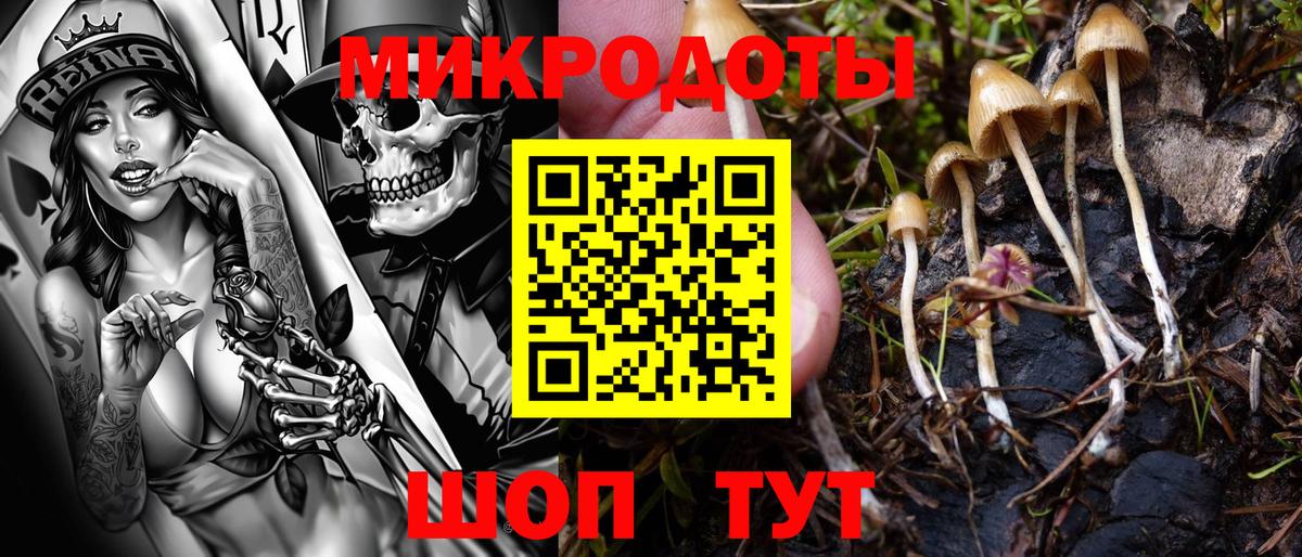 Галлюциногенные грибы Cubensis  Псилоцибиновые грибы Cubensis  где продают наркотики  Лосино-Петровский  Вход с VPN 