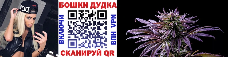 Шишки марихуана OG Kush  Лосино-Петровский 